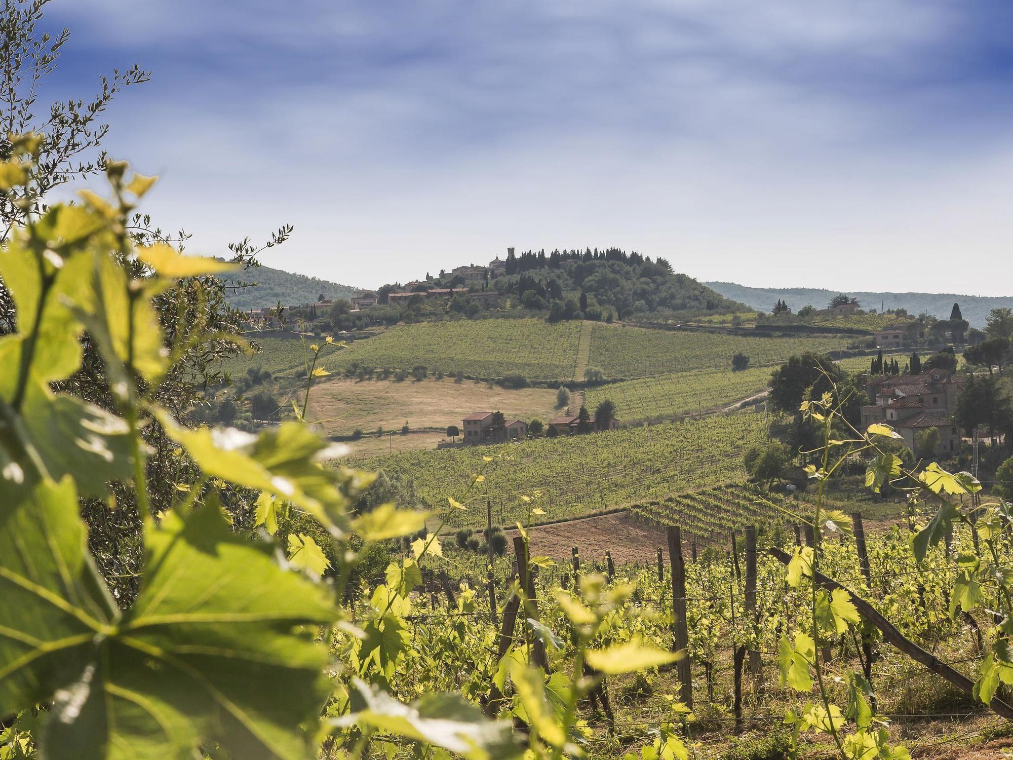 Relais Santa Cristina Guest House Radda in Chianti Bagian luar foto