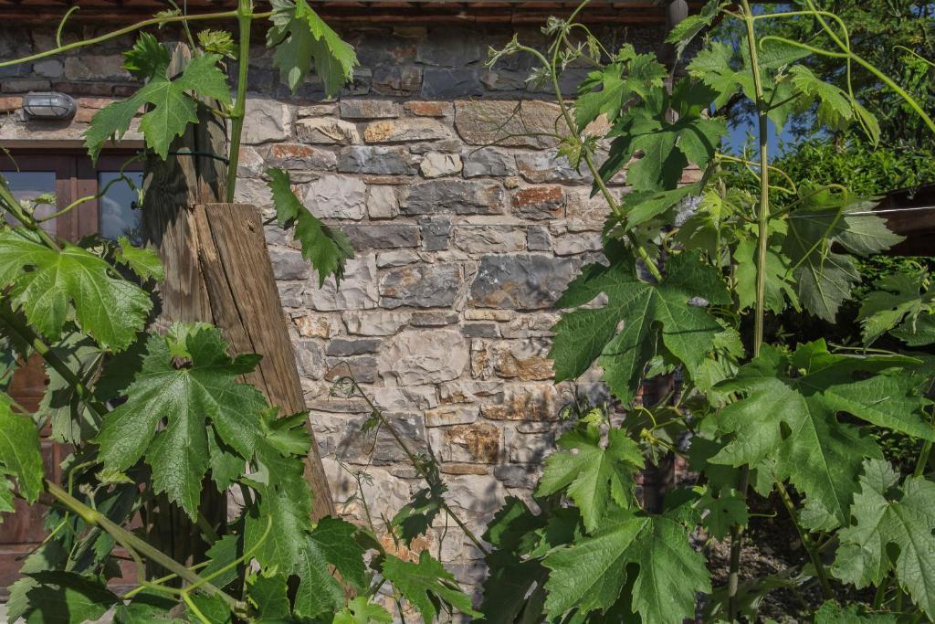 Relais Santa Cristina Guest House Radda in Chianti Bagian luar foto