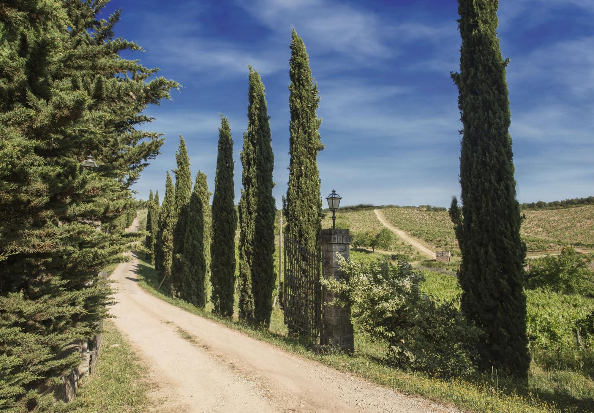 Relais Santa Cristina Guest House Radda in Chianti Bagian luar foto