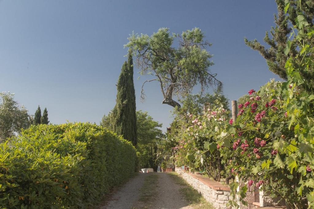 Relais Santa Cristina Guest House Radda in Chianti Bagian luar foto