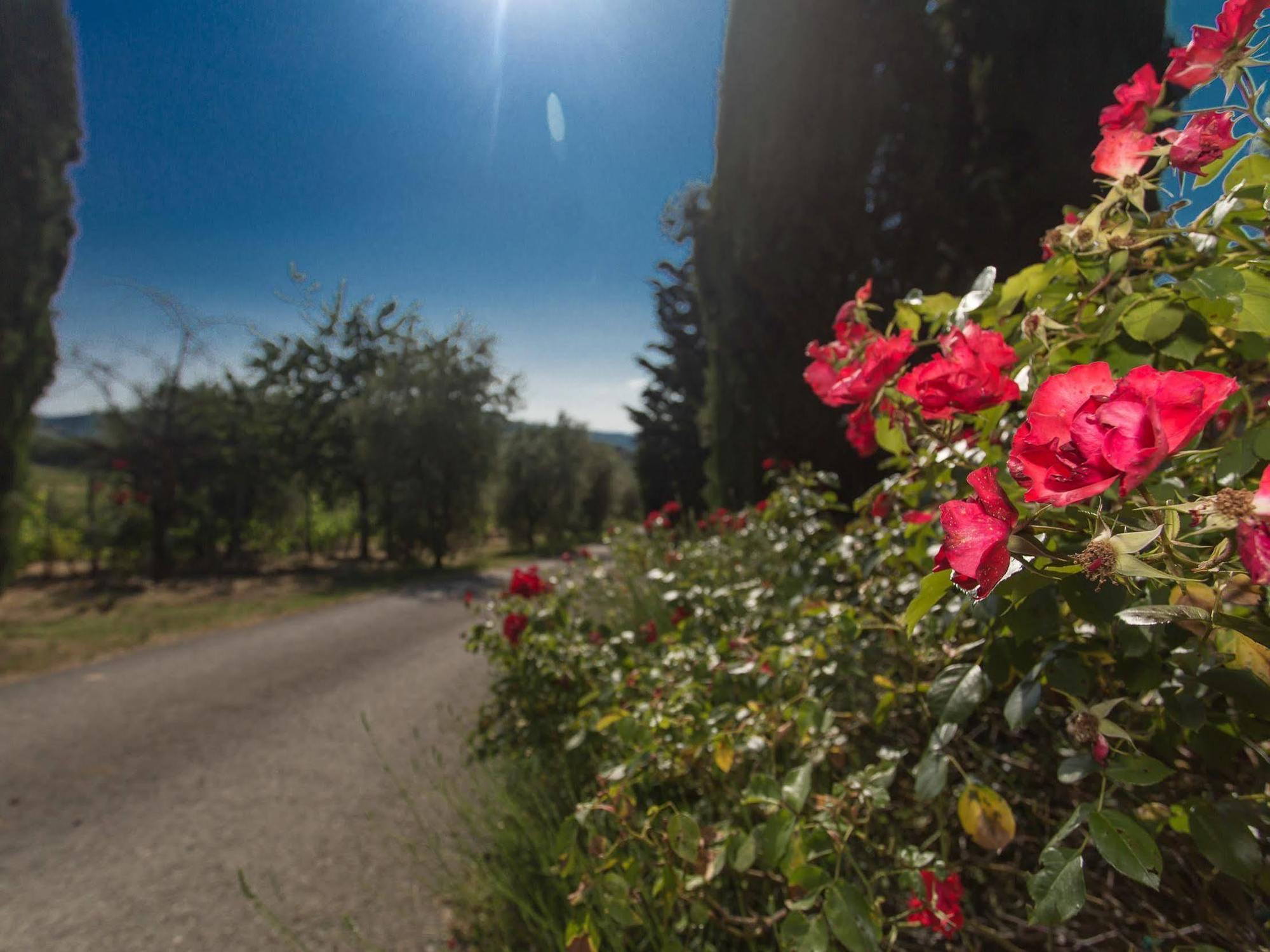 Relais Santa Cristina Guest House Radda in Chianti Bagian luar foto